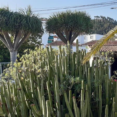 Casa Rural Los Dragos フエンカリエンテ・デ・ラ・パルマ エクステリア 写真