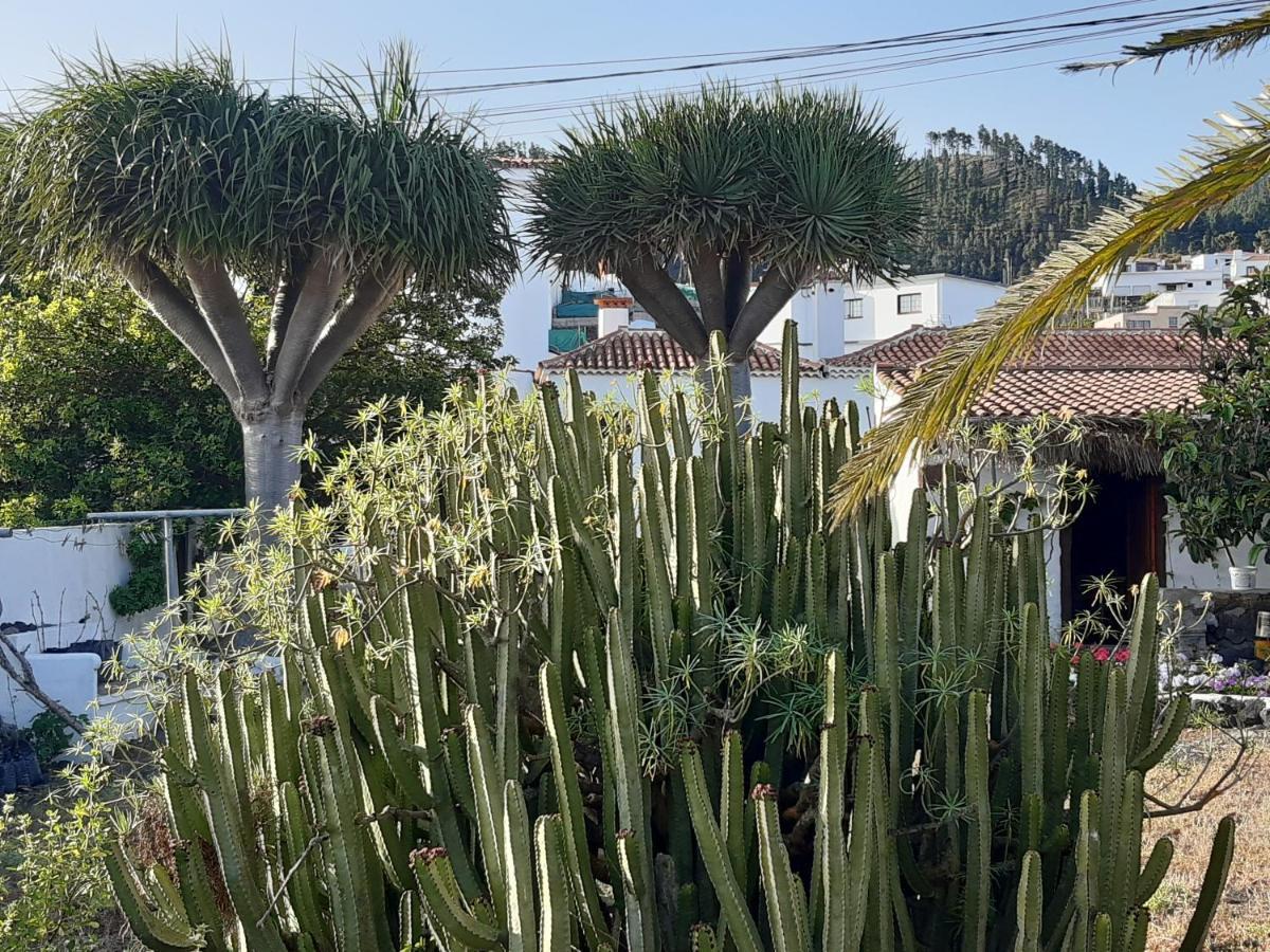 Casa Rural Los Dragos フエンカリエンテ・デ・ラ・パルマ エクステリア 写真